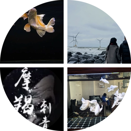 蝴蝶鲤交流群 群聊头像