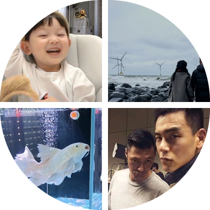 蝴蝶鲤交流群 群聊头像