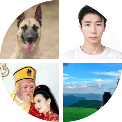 小杨犬舍 群聊头像