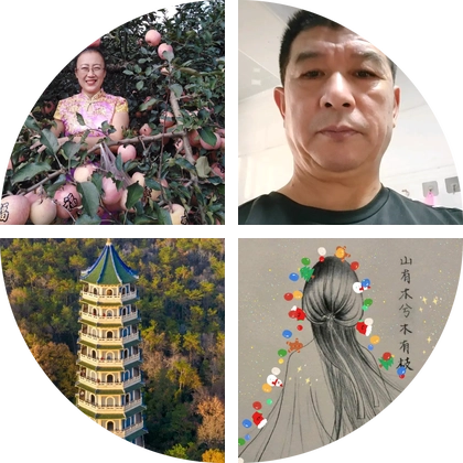 山东人在重庆老乡2群 群聊头像