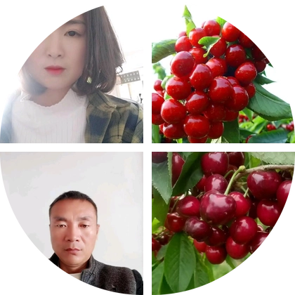 树苗交流群 群聊头像