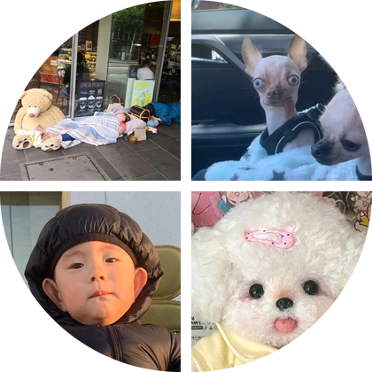 跨境科技 群聊头像