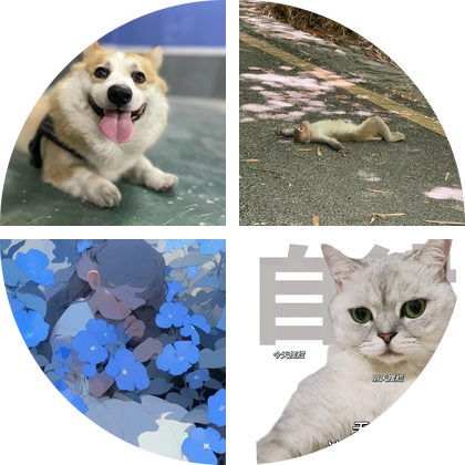 救救狗狗 群聊头像