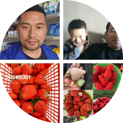 🇨🇳大丰收农资🇨🇳 群聊头像