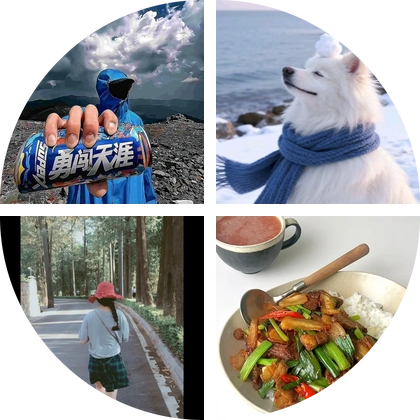 周末捡菌群 群聊头像