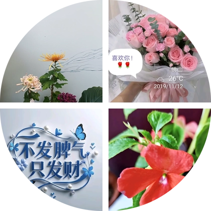 花友交流群 群聊头像