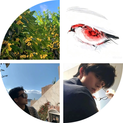 桂花香3.0 群聊头像
