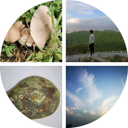 野蘑菇 群聊头像