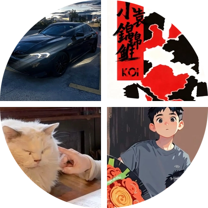 宝马车友交流群 群聊头像