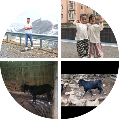 两广养羊交流群。 群聊头像