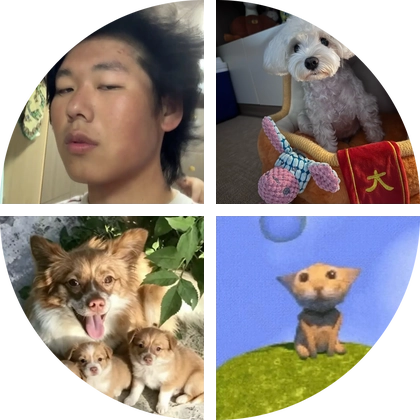 众筹救猫群 群聊头像
