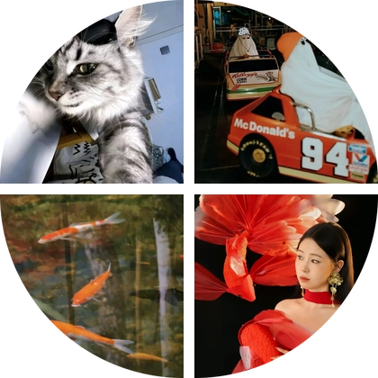 深圳吃喝玩乐搭子群 群聊头像