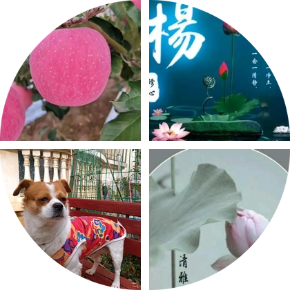 陇上果园 群聊头像