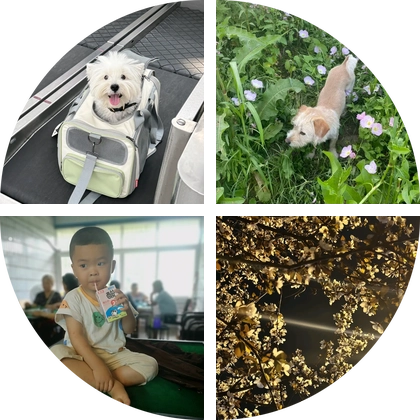 广汉钓鱼组队 群聊头像