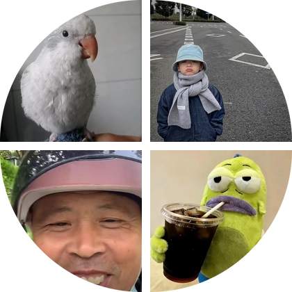 蹲蹲群 群聊头像
