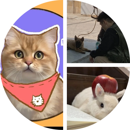 猫粮狗粮秒杀3️⃣群 群聊头像