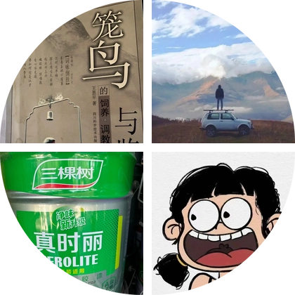 楠枫鸟友群 鸟笼交流 群聊头像