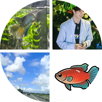 仔仔 国斗🐟 群聊头像