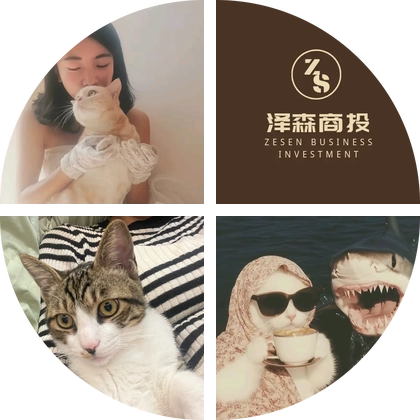 昆明猫猫守护 群聊头像