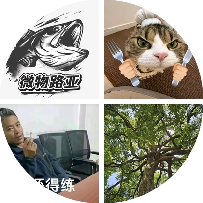 飞蝇绑钩台交流群 群聊头像