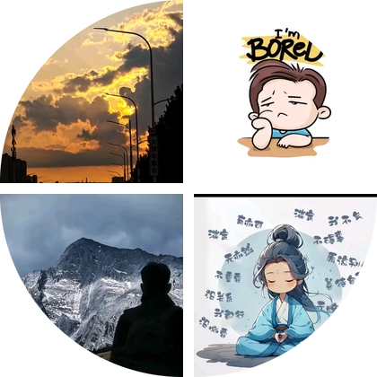 养龟🐢交流群 群聊头像