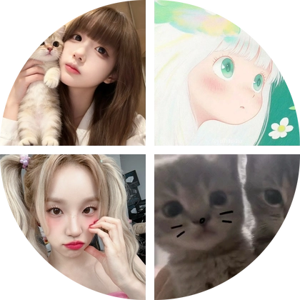 猫猫集团 群聊头像
