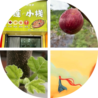 榴莲小栈无花果 群聊头像