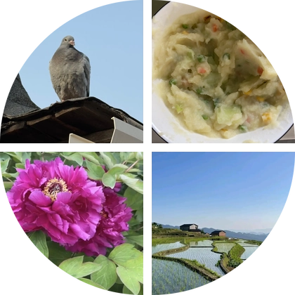 吉他互学交流 群聊头像