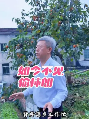 我不信!就我一个人这样吃柿子!! #谁懂这口柿子的含金量啊 #双11好美味  #星乡村星农人 #柿子 #柿子熟了