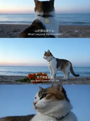 ai替我去旅行#豆包 #山的后面是什么