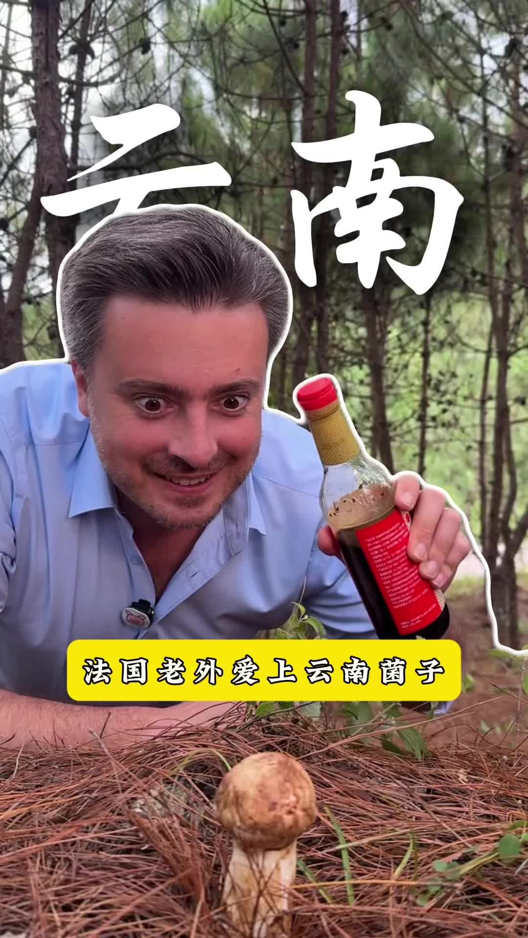 在暑期实现吃菌子自由