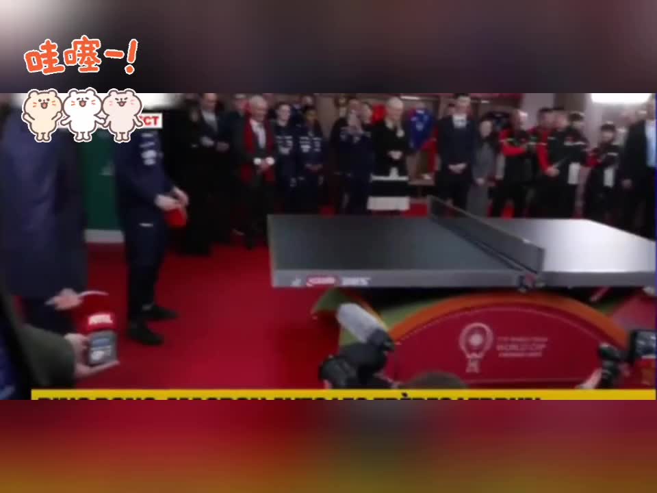 马克龙勒布伦vs王楚钦林诗栋 马克龙勒布伦vs王楚钦林诗栋